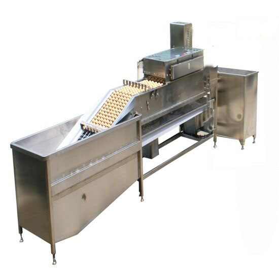 egg washing and packing system