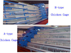 Livi Machinery have tow types of chicken cage for you to choose.