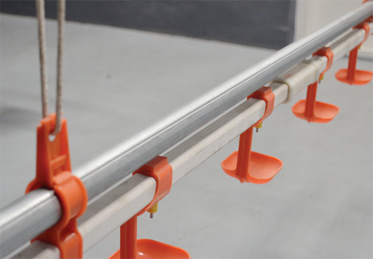 The special design with drinking nipples and water cup are the most popular drinking system in the market.