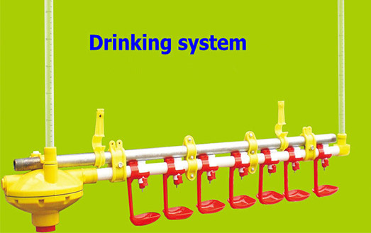 Poultry drinking system for laying hens in Livi Machinery ar in large supply, welcome to inquiry for it.
