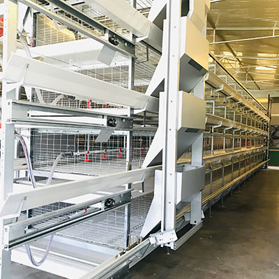 automatic broiler cage system