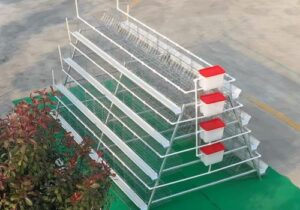 wire mesh layer chicken cage