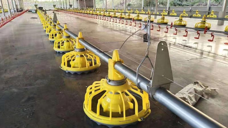 Broiler Floor Raising System