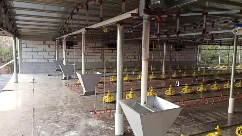 Zambia Poultry Farm Automatic Broiler Floor Raising System