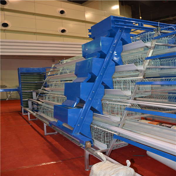 Automatic Layer Feeding System Livi Chicken Cage And Poultry Rearing